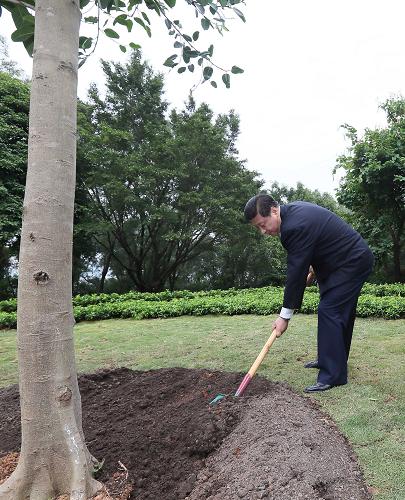 2012年12月7日至11日，習(xí)近平在廣東省考察工作。這是8日上午，習(xí)近平在深圳蓮花山公園種下一棵高山榕樹。新華社記者 蘭紅光 攝