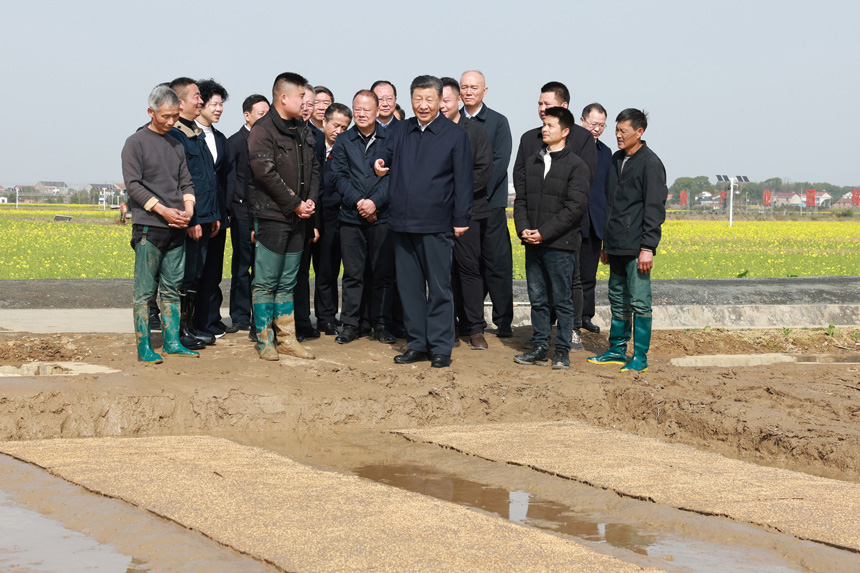 2024年3月18日至21日，中共中央總書記、國家主席、中央軍委主席習(xí)近平在湖南考察。這是19日下午，習(xí)近平在常德市鼎城區(qū)謝家鋪鎮(zhèn)港中坪村走進(jìn)田間，察看秧苗培育和春耕備耕進(jìn)展。新華社記者 王曄 攝